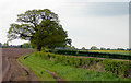 SO8589 : Farm land north of Greensforge in Staffordshire by Roger  D Kidd