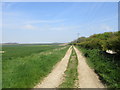 Farm track near Barrow Farm