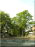 SE2934 : St Mark's Avenue, off Woodhouse Lane by Stephen Craven