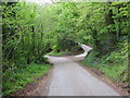 Tree-lined road between Treworyan and Ventonglidder