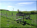 Stile at a newly planted hedge on the Hiraethog Trail