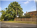 Milbourne Lane, Esher