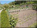 Walled Vegetable Garden - Hartland Abbey