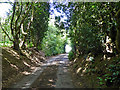 Sunken lane near The Wyck