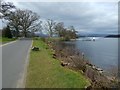 NS3783 : Shore of Loch Lomond near Cameron House by Lairich Rig