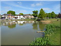 Mill Pond on Shenfield Common