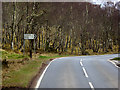 NH9647 : A939 near Loch Belivat by David Dixon