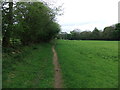 Footpath near Waskerley Beck