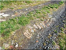 NO2204 : Old road surface, Lomond Hills by Bill Kasman