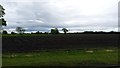 Farmland near Halsall