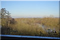 Lake in the Colne Valley