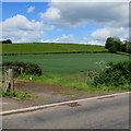 Open field entrance, Llanfair Kilgeddin, Monmouthshire