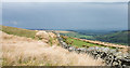 Wall below Quarry Hill