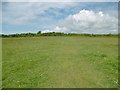 Durlston, footpath