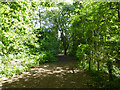 Path, Wick Wood