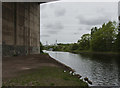 The Weaver Navigation from under the M56