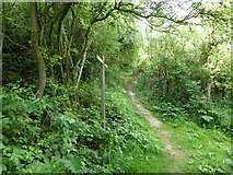 TQ5101 : Junction of Footpath and Rathfinny Trail by PAUL FARMER