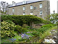 Stromness garden