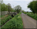 Small Moor Rhyne by Sharpham Drove