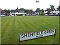 Shenfield Green