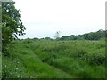 Open land near Hall Lane