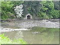 S6714 : Old Abandoned Stone Boathouse on River Suir by Redmond O'Brien