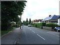 Landscape View, Saffron Walden