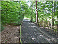 Main line, Frimley Lodge Miniature Railway