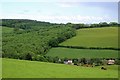 Woods above Lower Merridge