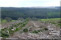 Looking down on Eastnook