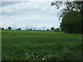 Crop field, Lowerhouse