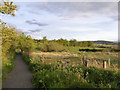 Path near Braidwood