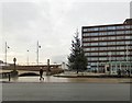 Mersey Square Christmas Tree