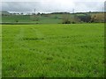 Nant Meifod farmland