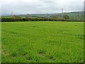 SH9774 : Hedged farmland, south of the B5381 by Christine Johnstone