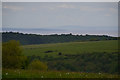 West Somerset : Countryside Scenery