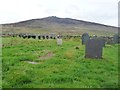 Mynwent Tai Duon Cemetery [2]