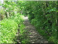 Springs Road (Track) near Guiseley