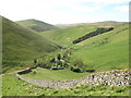 Wall at Rowhope farm