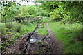 Grass track, south to Ty-gwyn Cottages