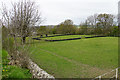 Paddocks for horses near Corbridge