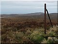 ND1029 : Fence post, Cnoc na Feadaige, Caithness by Claire Pegrum