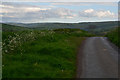 West Somerset : Country Lane