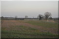 Flat farmland north of Beverley