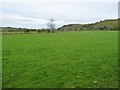 SH5243 : Sheep pasture, valley floor, Afon Dwyfor by Christine Johnstone