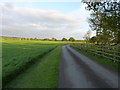 Track to the east of Teddesley Home Farm