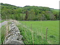 Pasture and woodland at Cathpair