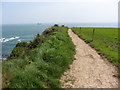 The Pembrokeshire Coast Path near Stackpole Quay