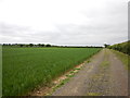 Farm Track near Hornbuckle Farm