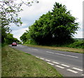 A3052 from Trow towards Sidford, Devon